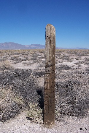 Fence Post